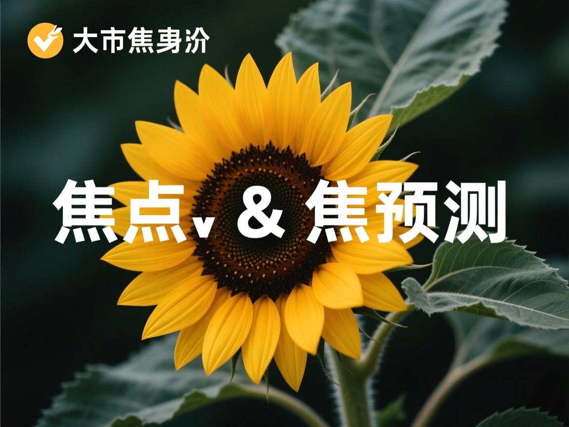 开云体育在线入口-世界杯2026预选赛动态引发全球关注